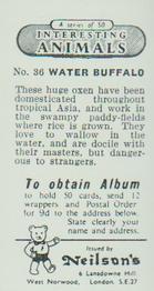 1954 Neilson's Interesting Animals #36 Water Buffalo Back