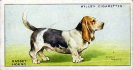 1937 Wills's Dogs #2 Basset Hound Front