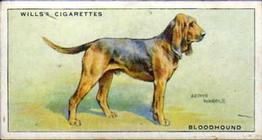 1937 Wills's Dogs #4 Bloodhound Front