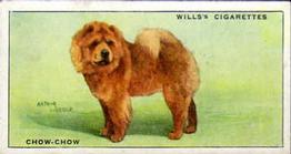 1937 Wills's Dogs #8 Chow-Chow Front