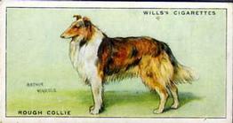 1937 Wills's Dogs #9 Rough Collie Front