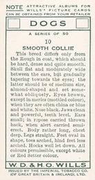 1937 Wills's Dogs #10 Smooth Collie Back