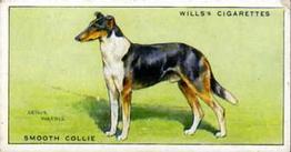1937 Wills's Dogs #10 Smooth Collie Front
