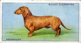 1937 Wills's Dogs #12 Dachshund Front
