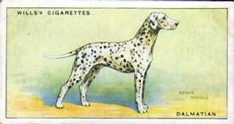 1937 Wills's Dogs #13 Dalmatian Front