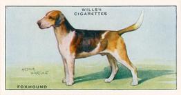 1937 Wills's Dogs #15 Foxhound Front