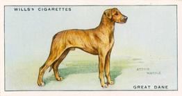 1937 Wills's Dogs #16 Great Dane Front