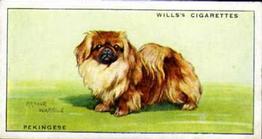 1937 Wills's Dogs #20 Pekingese Front