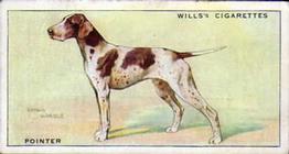 1937 Wills's Dogs #21 Pointer Front