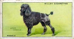 1937 Wills's Dogs #23 Poodle Front