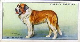 1937 Wills's Dogs #27 St. Bernard Front