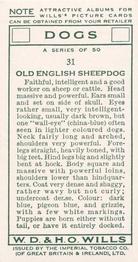 1937 Wills's Dogs #31 Old English Sheepdog Back