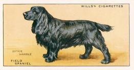 1937 Wills's Dogs #34 Field Spaniel Front