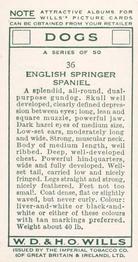 1937 Wills's Dogs #36 English Springer Spaniel Back