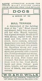 1937 Wills's Dogs #39 Bull Terrier Back