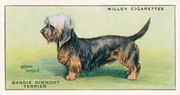 1937 Wills's Dogs #41 Dandie Dinmont Terrier Front