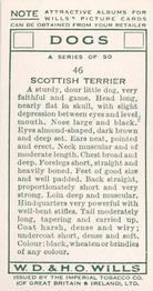 1937 Wills's Dogs #46 Scottish Terrier Back