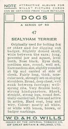 1937 Wills's Dogs #47 Sealyham Terrier Back