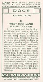 1937 Wills's Dogs #48 West Highland White Terrier Back