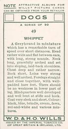 1937 Wills's Dogs #49 Whippet Back