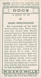 1937 Wills's Dogs #50 Irish Wolfhound Back