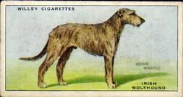 1937 Wills's Dogs #50 Irish Wolfhound Front