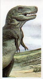 1993 Brooke Bond The Dinosaur Trail #17 Tyrannosaurus Rex Front