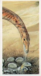 1993 Brooke Bond The Dinosaur Trail #19 Ornithomimus Front