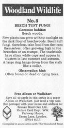 1988 Brooke Bond Woodland Wildlife #8 Beech Tuft Fungi Back