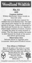 1988 Brooke Bond Woodland Wildlife #11 Ash Back