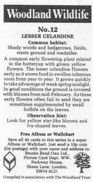 1988 Brooke Bond Woodland Wildlife #12 Lesser Celandine Back