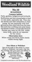 1988 Brooke Bond Woodland Wildlife #13 Bullfinch Back