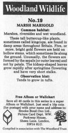 1988 Brooke Bond Woodland Wildlife #19 Marsh Marigold Back