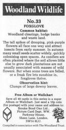 1988 Brooke Bond Woodland Wildlife #33 Foxglove Back