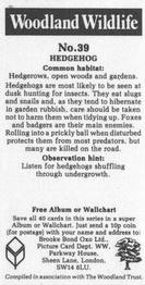 1988 Brooke Bond Woodland Wildlife #39 Hedgehog Back