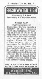 1973 Brooke Bond Freshwater Fish #5 Mirror Carp Back