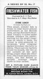 1973 Brooke Bond Freshwater Fish #17 Stone Loach Back