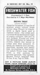 1973 Brooke Bond Freshwater Fish #25 Brown Trout Back