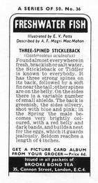 1973 Brooke Bond Freshwater Fish #36 Three-Spined Stickleback Back