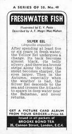 1973 Brooke Bond Freshwater Fish #40 Silver Eel Back