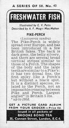 1973 Brooke Bond Freshwater Fish #43 Pike-Perch Back