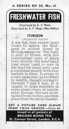 1973 Brooke Bond Freshwater Fish #44 Sturgeon Back