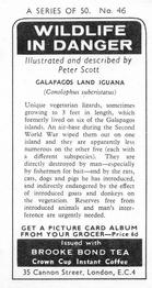 1973 Brooke Bond Wildlife In Danger #46 Galapagos Land Iguana Back