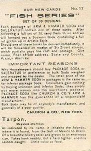 1900 Church & Co. Fish Series (J15) #17 Tarpon Back