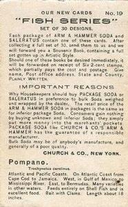 1900 Church & Co. Fish Series (J15) #19 Pompano Back
