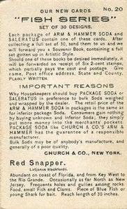 1900 Church & Co. Fish Series (J15) #20 Red Snapper Back