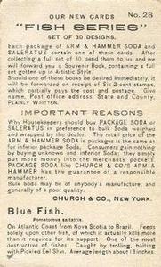 1900 Church & Co. Fish Series (J15) #28 Blue Fish Back