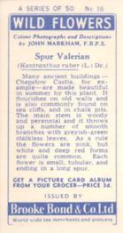 1955 Brooke Bond Wild Flowers #16 Spur Valerian Back