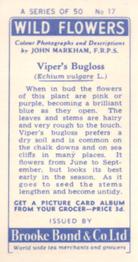 1955 Brooke Bond Wild Flowers #17 Vipers Bugloss Back
