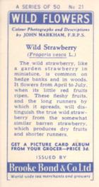 1955 Brooke Bond Wild Flowers #21 Wild Strawberry Back